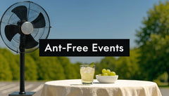 100 Hungry Ants: Your Guide to Ant-Free Events