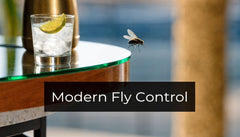 Are Flies Attracted to UV Light? Modern Control Secrets