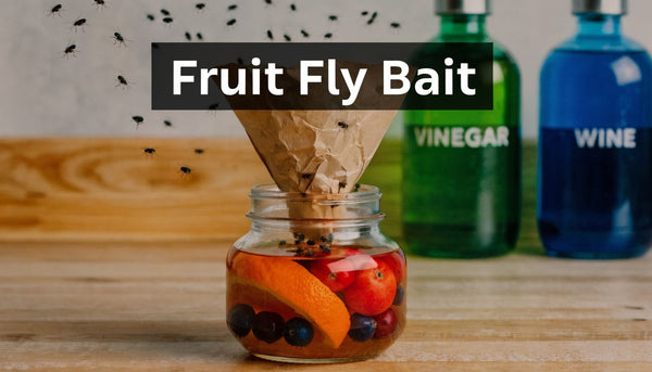 Best Bait For Fruit Fly Trap: Easy DIY Recipes