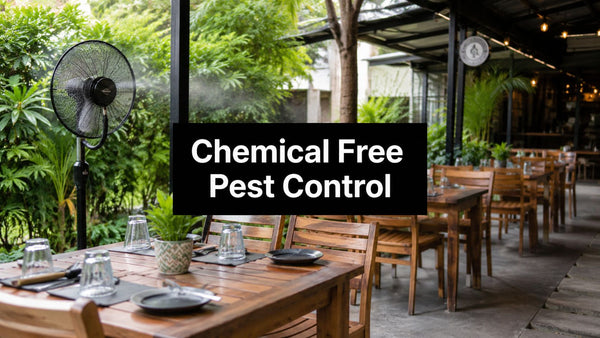 Chemical Free Pest Control: Eco-Friendly Solutions