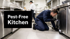 Commercial Kitchen Pest Control: 2026 Expert Guide