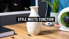 A Guide to Decorative Fruit Fly Traps