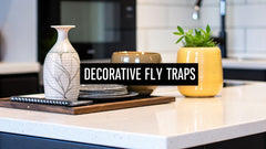 Decorative Fruit Fly Traps: Style Meets Function