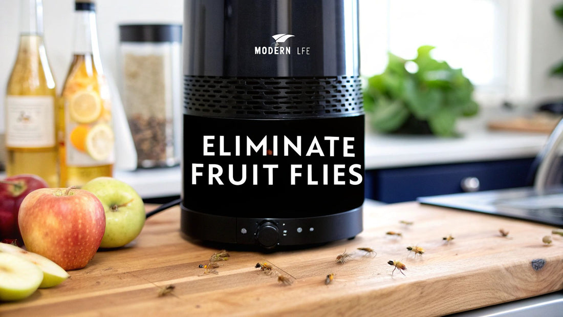 How to Eliminate Fruit Flies for Good