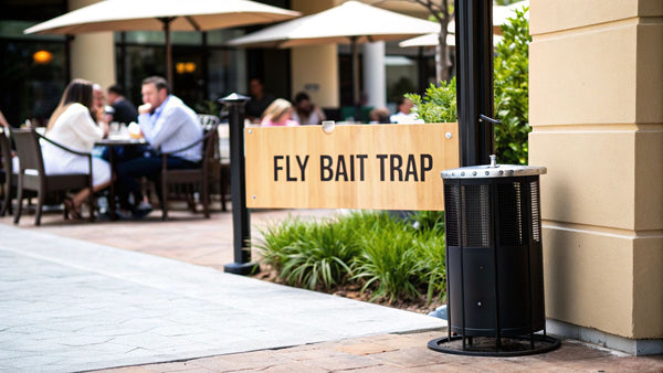 Fly Bait Trap: How It Works, Pros, Cons, and Better Alternatives