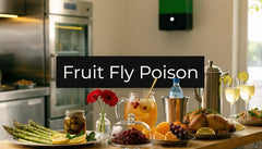 Fruit Fly Poison: A Guide for Restaurants & Hotels