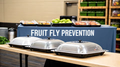 A No-Nonsense Guide to Fruit Fly Prevention