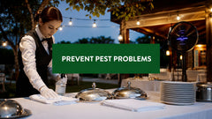 How to Prevent Pest Problems: A Hospitality Guide