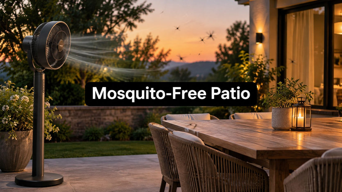 Outdoor Fan for Mosquito Control: What Really Works
