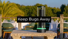 Plugins to Keep Bugs Away: A Hospitality Guide