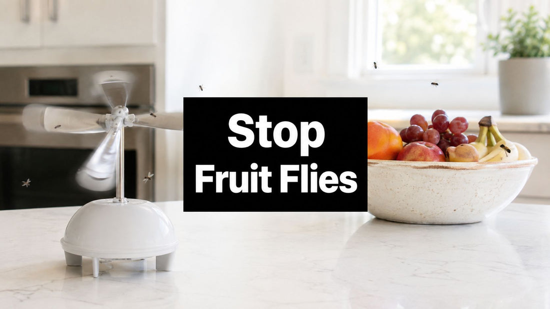 Products to Get Rid of Fruit Flies That Actually Work