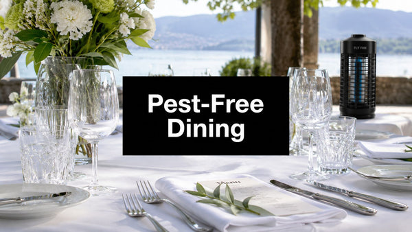 Pest-Free Dining: Professional Recommendations 2026