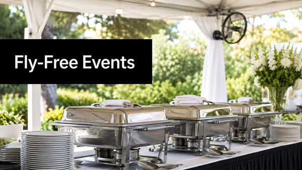 8 Quick Fix Solutions for Fly-Free Events