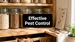Residential Pest Management That Actually Works