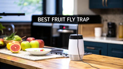 What's the Best Fruit Fly Trap? The Answer Isn't So Simple.
