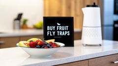 Where to Buy Fruit Fly Traps: Your Complete Guide