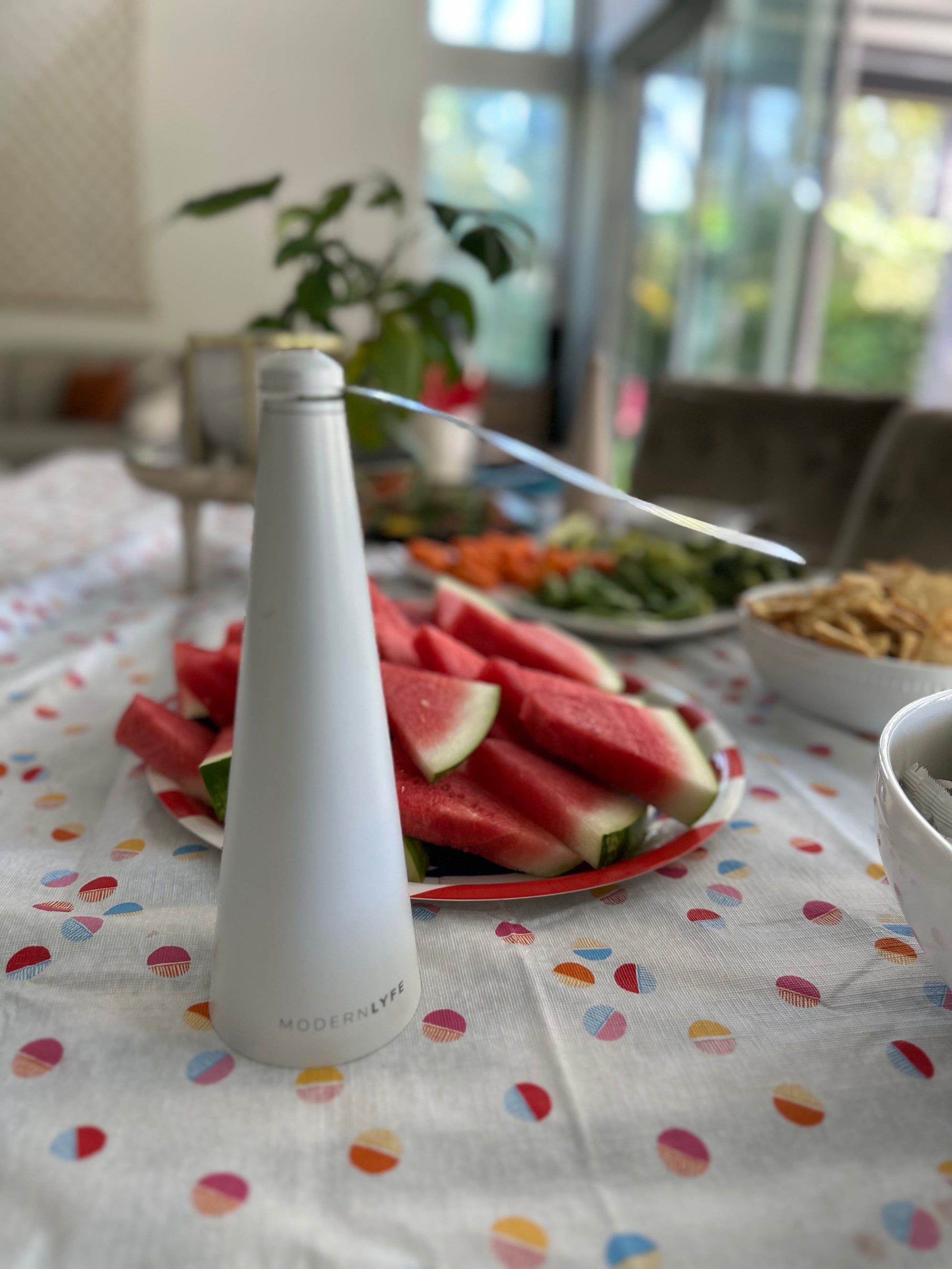 Grey Fly Fan